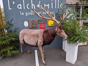 l'Alchemille Restaurant_Kaysersberg_20191120_IMG152509